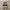 Adidas Casual Sportswear Sneakers Wanita white photo 2