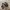 Adidas Casual Sportswear Sneakers Wanita black photo 1