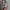 Sweatshirt M231 Spy X Family Sage Green photo 2