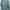 Sweatshirt M231 Spy X Family Sage Green photo 1