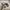 Birkenstock Casual Sandals & slide Pria tan photo 1