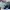 Adidas Casual Casual shoe Pria multicolor photo 7