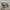 Adidas Casual Casual shoe Pria multicolor photo 4