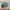 Adidas Casual Casual shoe Pria multicolor photo 1