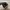 Nike Casual Sportswear Sneakers Pria black photo 5