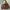 Brown Shoulder Bag photo 1