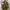 Gills & Brooks Korea Shoulder Bag photo 5