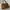 Gills & Brooks Korea Shoulder Bag photo 2