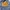 BAGGY JEANS BLUEWASH FULL PRINT photo 8