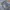BAGGY JEANS BLUEWASH FULL PRINT photo 9