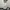 BAGGY BALON BROKENWHITE photo 4