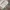 BAGGY BALON BROKENWHITE photo 9