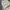 BAGGY BALON BROKENWHITE photo 8