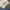 BAGGY BALON BROKENWHITE photo 7