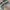 BAGGY JEANS CAMMO DOUBLEKNEE CARPENTER photo 10