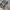 BAGGY JEANS CAMMO DOUBLEKNEE CARPENTER photo 7