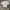 Tshirt uniqlo airism photo 1