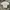 Tshirt Uniqlo Airism