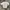 Tshirt Uniqlo Airism