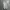Nike Swoosh T-Shirt Grey photo 4