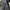 LONG JACKET SERGIO TACHINI photo 4