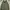 WINTER JACKET ZARA MAN