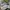 New Balance 530 GS STEEL GREY NEW! photo 1