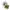 Kaos Band Merch Pull & Bear Bob Marley (Unisex) NETT PRICE photo 1