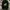 Noah Walrus Hoddied - Dark Green  photo 1