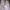 Dakimakura sarung bantal guling anime photo 3
