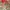 Wallpaper Wall decor hiasan dinding photo 1