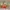 Wallpaper Wall decor hiasan dinding photo 5