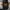 Zhipper Hoddie Spitfire SpinWheels - Camo  photo 8