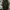 Zhipper Hoddie Spitfire SpinWheels - Camo  photo 1