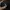 SPITFIRE BIG HEAD LOGO - BLACK  photo 8