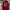SPITFIRE BIG HEAD LOGO - RED 
