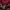 SPITFIRE BIG HEAD LOGO - RED  photo 2