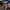 MNWKA UNKNOWN HODDIE CAMOUFLAGE PATTERN  photo 3