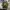 MNWKA UNKNOWN HODDIE CAMOUFLAGE PATTERN  photo 1