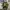 MNWKA UNKNOWN HODDIE CAMOUFLAGE PATTERN 