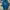 PLEASURES DENTAL T - SHIRTS - BLUE