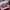 Miu Miu SunGlasses Fullset (Good Condition) Nego photo 8