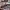 Miu Miu SunGlasses Fullset (Good Condition) Nego photo 1