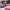 Miu Miu SunGlasses Fullset (Good Condition) Nego photo 4