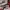 Miu Miu SunGlasses Fullset (Good Condition) Nego photo 2