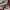 Miu Miu SunGlasses Fullset (Good Condition) Nego
