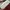 Chloe Sunglasses Fullset (Good Condition) Nego photo 8