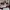Chloe Sunglasses Fullset (Good Condition) Nego photo 2