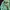 Sweather crewneck Nikq tie dye basic logo black tag photo 2