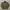 Casual Biker Track jacket Pria green photo 1